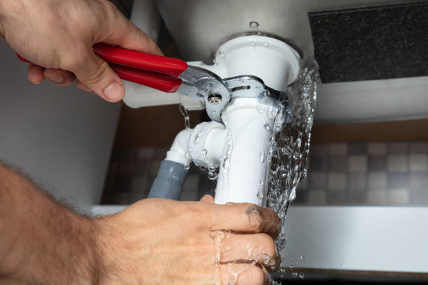 Best Flooded house restoration  in Sky Valley, CA