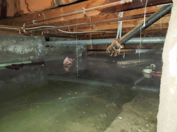 Best Local water damage restoration  in Sky Valley, CA
