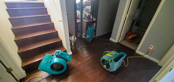 Best Flood restoration services  in Sky Valley, CA