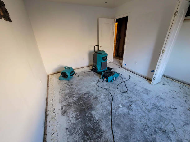 Best Water damage restoration mold remediation  in Sky Valley, CA