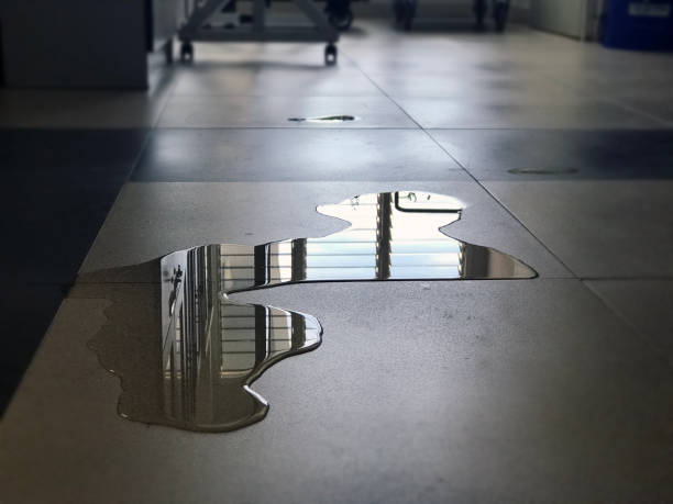 Best Water damage restoration services  in Sky Valley, CA