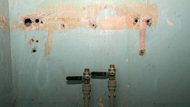 Best Water damage restoration near me  in Sky Valley, CA