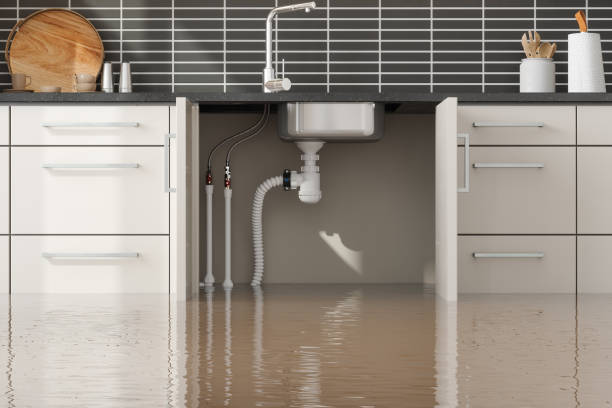 Best Local water damage restoration  in Sky Valley, CA