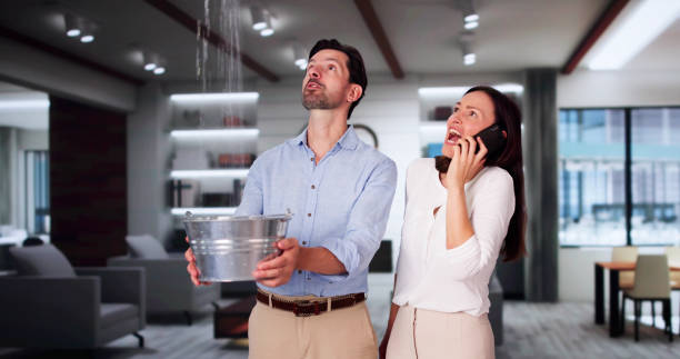 Best Ceiling water damage repair  in Sky Valley, CA